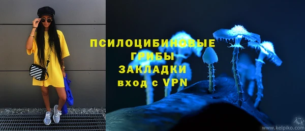 MDMA Белокуриха