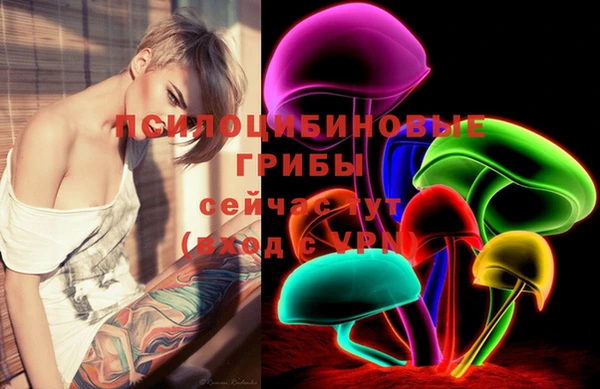 MDMA Белокуриха