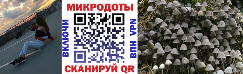 MEGA ссылки  Ворсма  Псилоцибиновые грибы Cubensis 